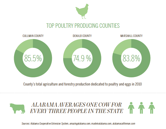 Alabama Agriculture [INFOGRAPHIC]