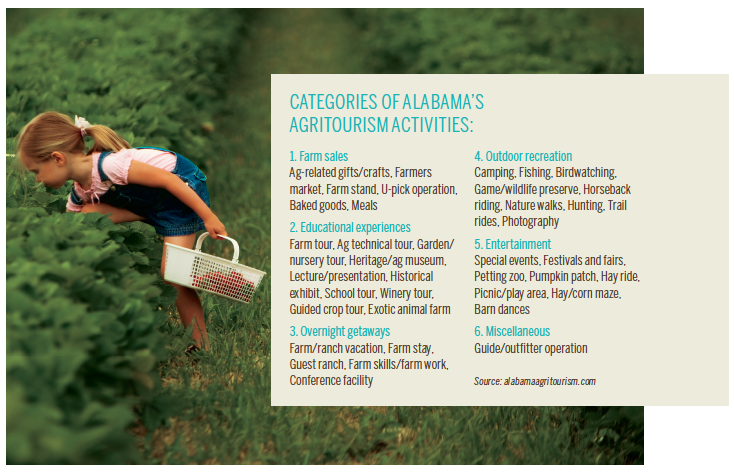 Alabama Agritourism Activities