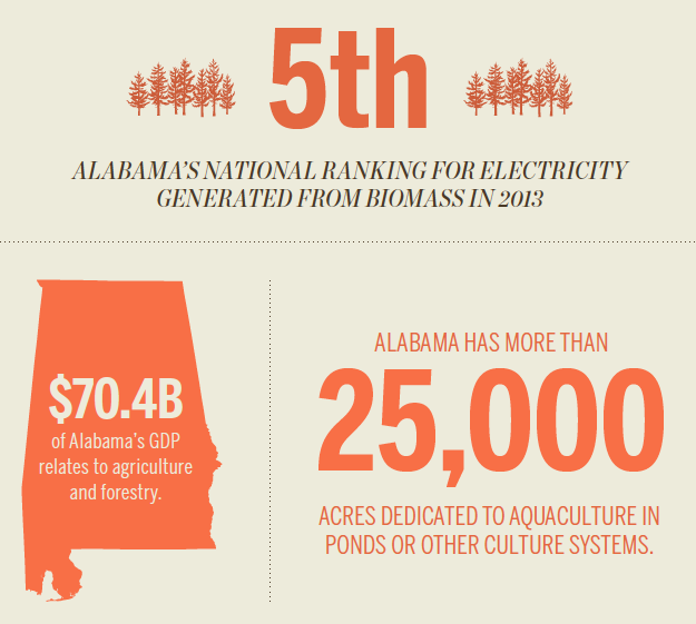 Alabama agriculture [INFOGRAPHIC]