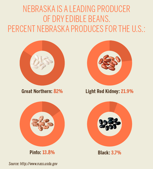 Nebraska Edible Beans [INFOGRAPHIC]
