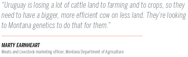 Montana beef quote
