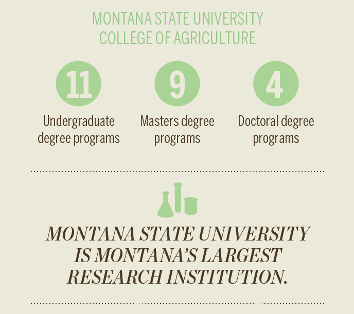 Montana State University re