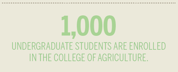 Montana ag research [INFOGRAPHIC]