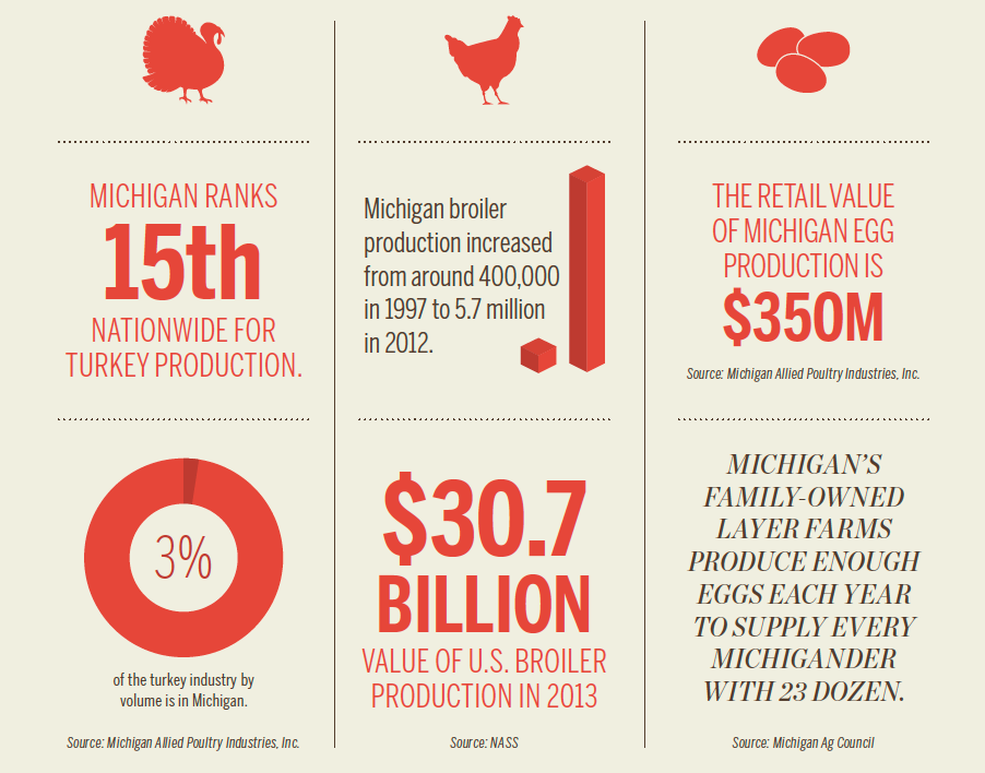 Michigan Poultry [INFOGRAPHIC]