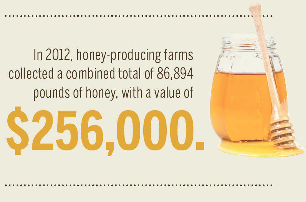 Oklahoma Honey [INFOGRAPHIC]