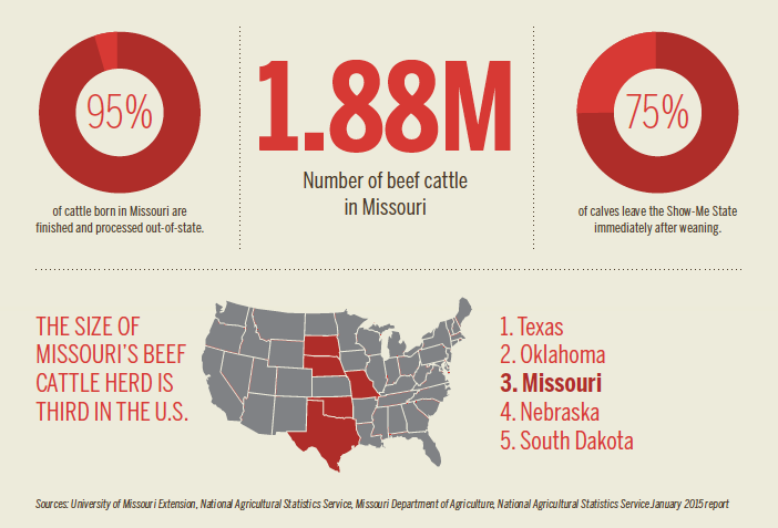 Missouri Beef [INFOGRAPHIC]