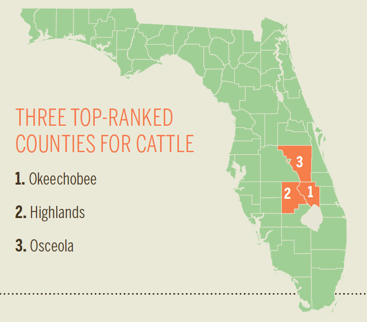 Florida cattle [INFOGRAPHIC]