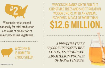 Wisconsin top crops [INFOGRAPHIC]