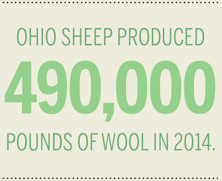 Ohio Wool