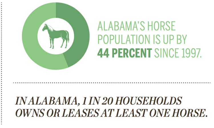 Alabama horse industry [INFOGRAPHIC]