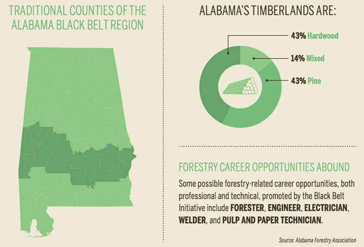 Alabama forestry [INFOGRAPHIC]