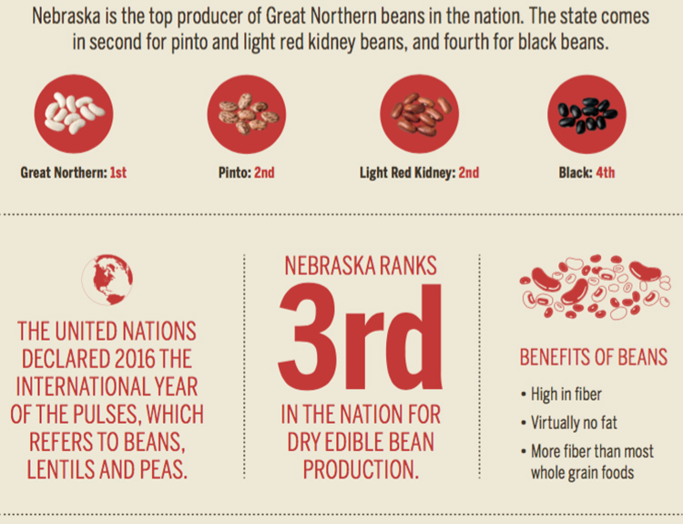 Nebraska dry edible beans [INFOGRAPHIC]