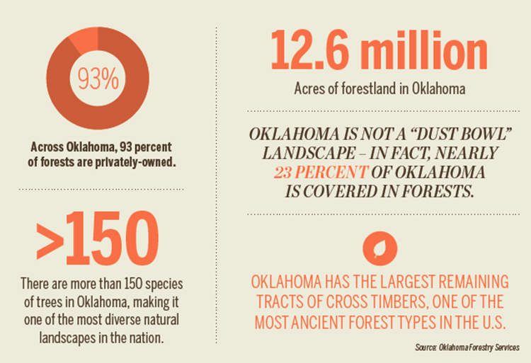 ok forestry [INFOGRAPHIC]
