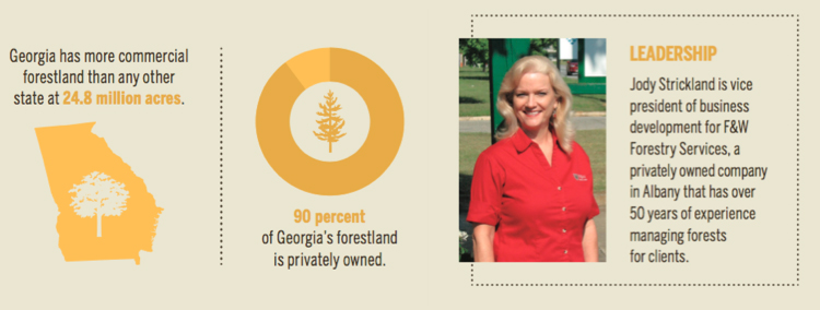 GA forestry [INFOGRAPHIC]
