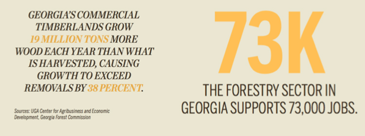 GA forestry [INFOGRAPHIC]