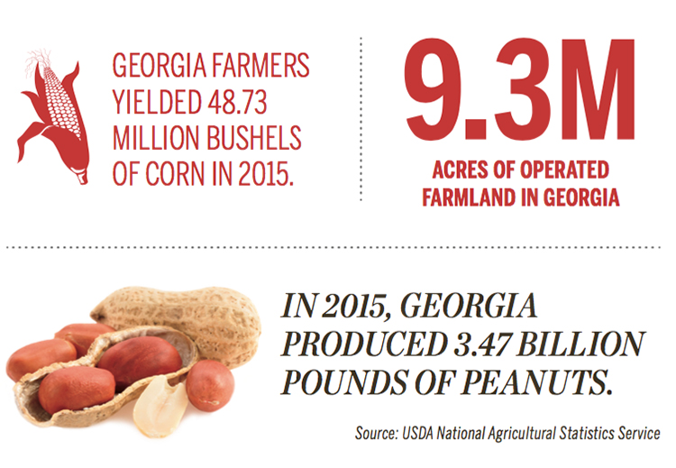 Georgia agriculture products [INFOGRAPHIC]