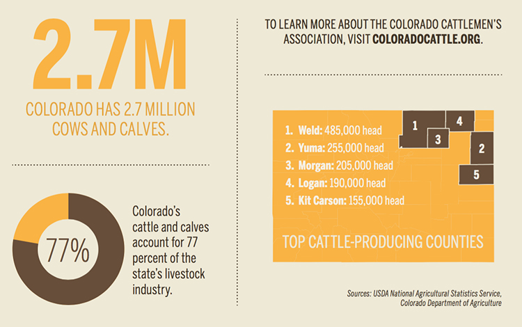 colorado cattle ranch [infographic]