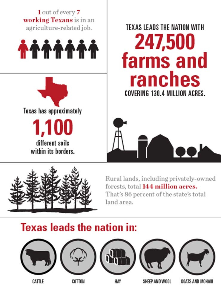 Texas Agriculture Overview