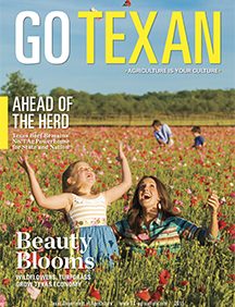 Go Texan 2015 cover