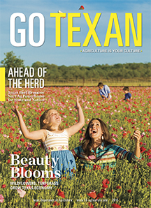 Go Texan 2015 cover