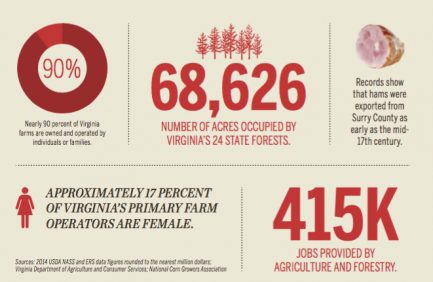 Virginia stats