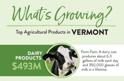 Vermont Top 10 ag products