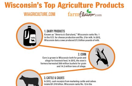 Wisconsin Top 10 Ag Commodities infographic
