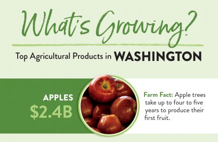 Washington Top 10 ag products