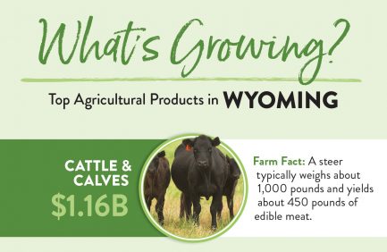 Wyoming Top 10 ag products