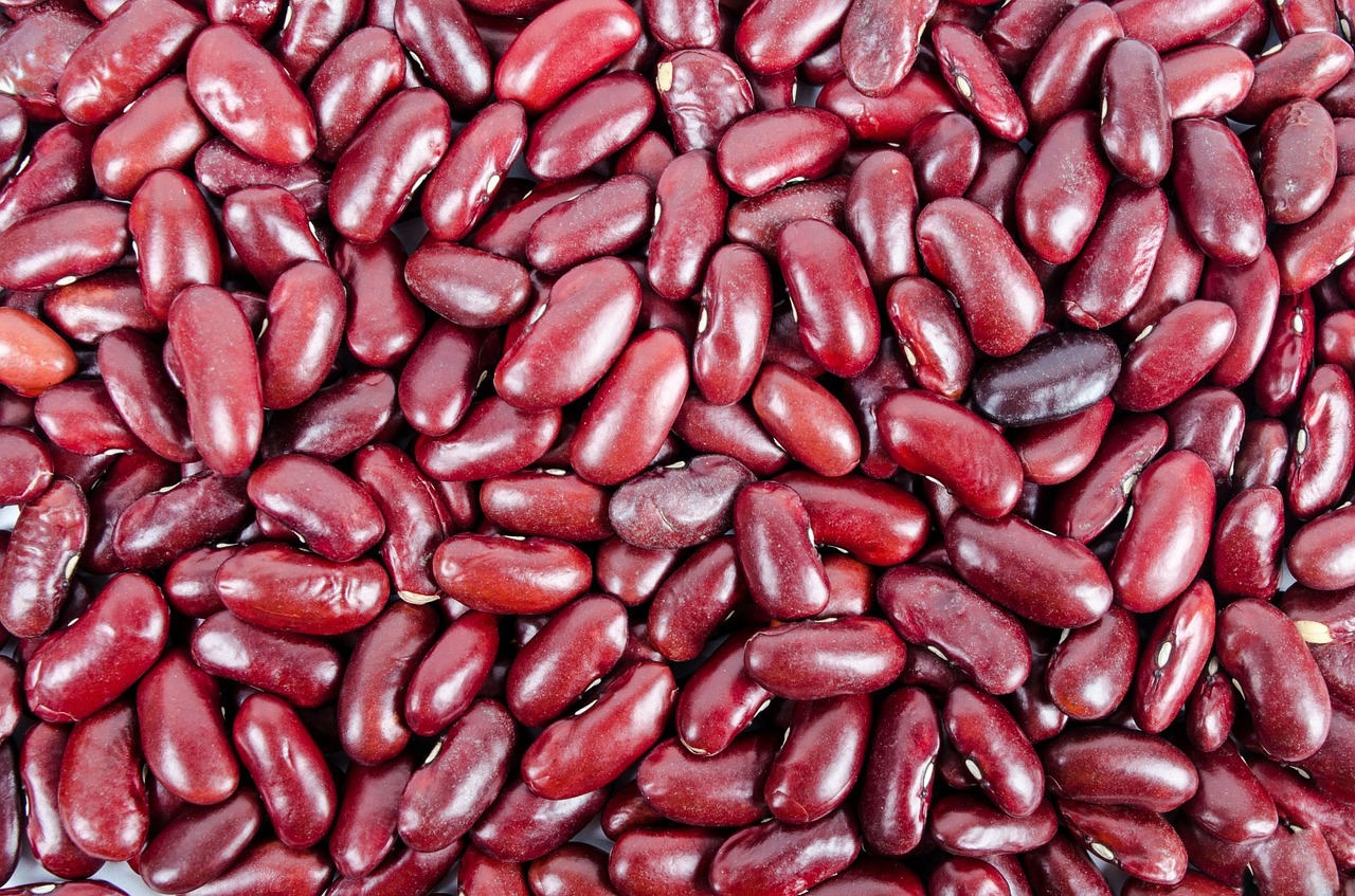 foods that grow in Wyoming, beans