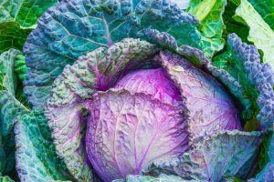 Napa Cabbage salad recipe
