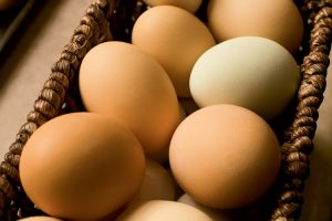 Farm Facts about Eggs