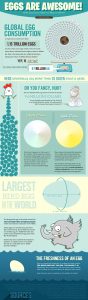 Eggs Infographic