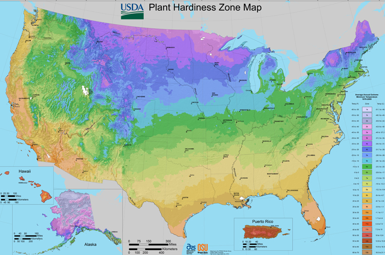 USDA gardening zone map