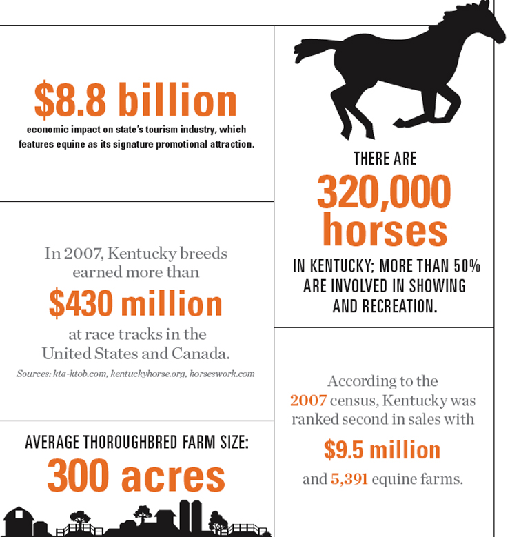 Kentucky Equine Industry Graphic