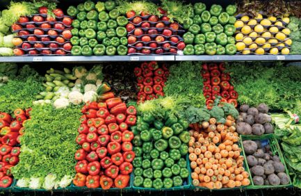 sustainable grocery shopping