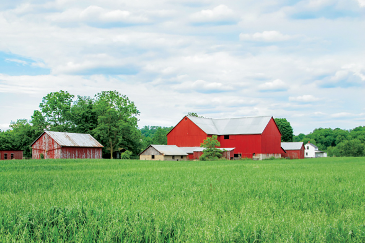 Red Barn, Green Field, Ohio Farm