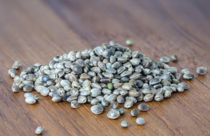 Hemp seed on a wooden surface