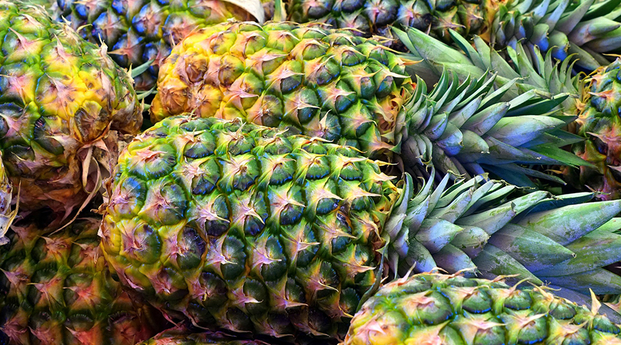 pineapple; Hawaii food festivals