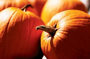 Pumpkins for carving or baking