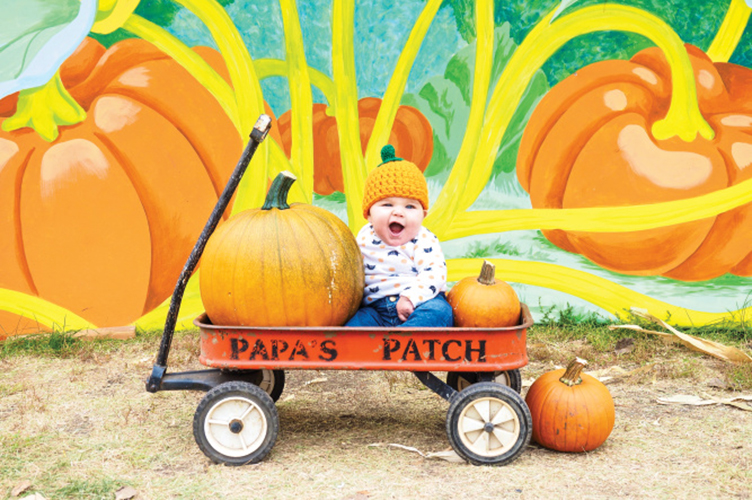 Papa's Pumpkin Patch