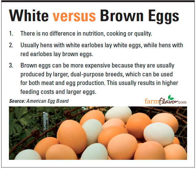 white vs. brown eggs