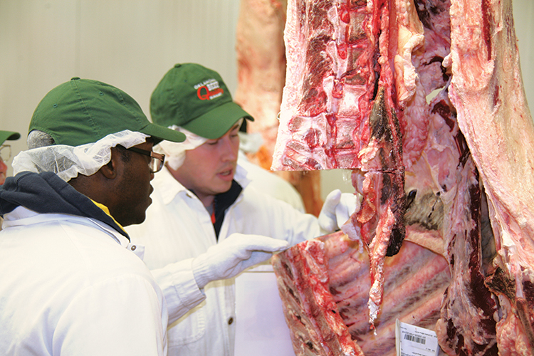 Participants travel to Oklahoma State University for one session in the Young Cattlemen’s Leadership Class, to learn butchering and about the retail cuts of meat.