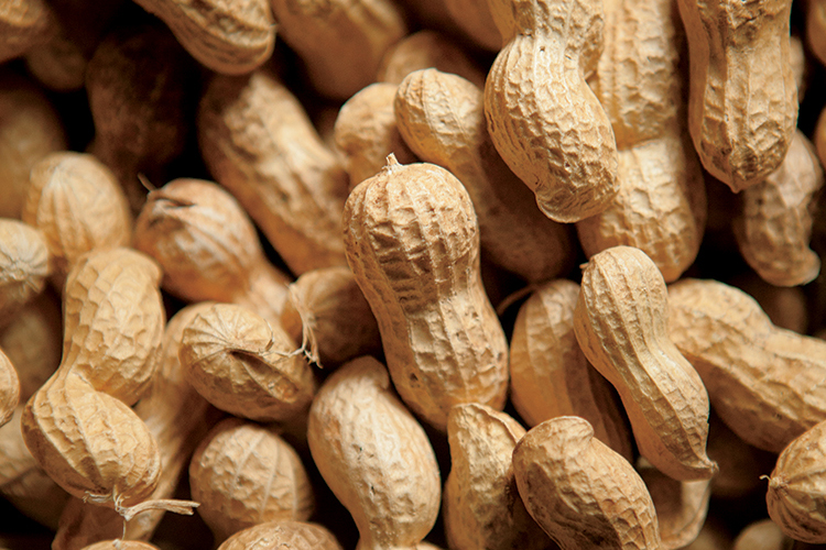 Two peanut drying and storage facilities have opened in Northeast Arkansas.