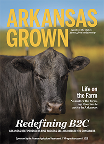 Arkansas Cover