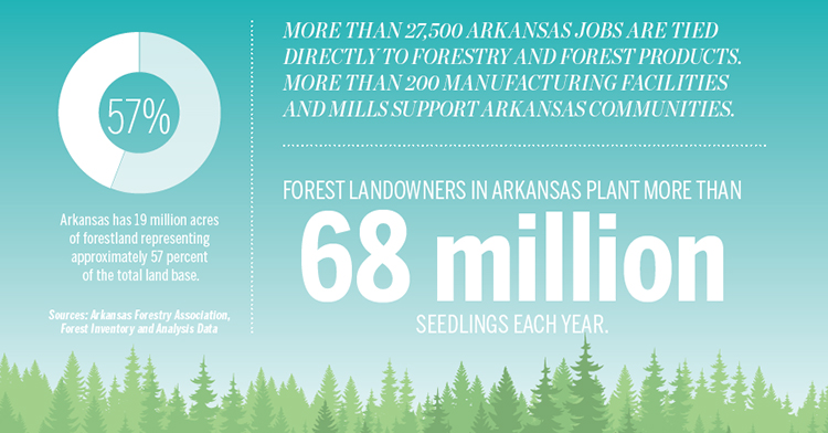 Arkansas forestry [INFOGRAPHIC]
