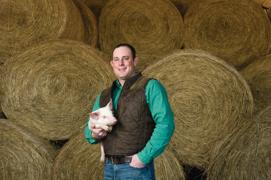Why Are Pigs Raised in Buildings? and Other Answers From a Hog Farmer - Farm  Flavor