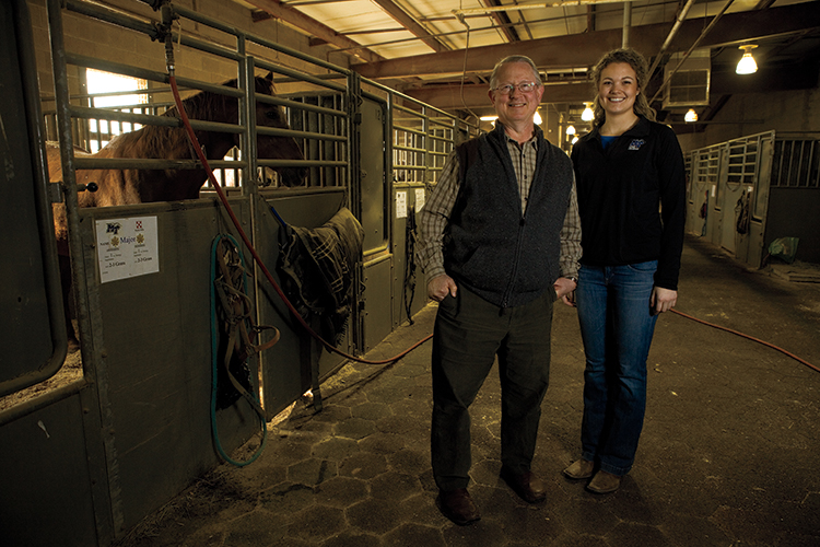 Innovation in Equine Industry: Mule Reproduction