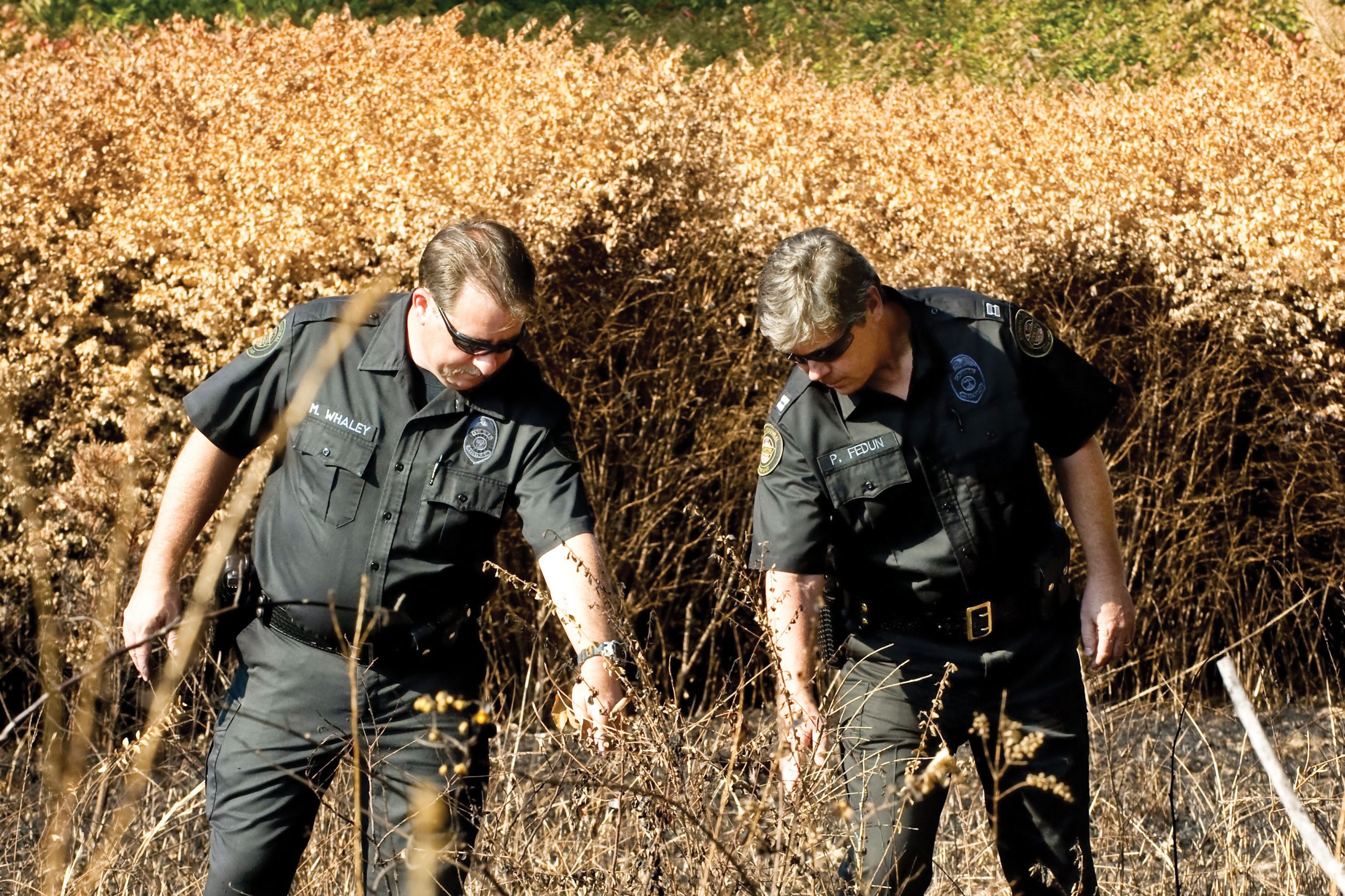 Agriculture Crime Unit Works With Farmers to Ensure Rural Safety - Farm ...
