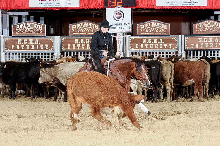 Barbara Brooks showing a homebred colt at the 2013 NCHA Futurity.